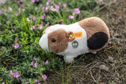 Enfant Steiff Mini Peluches | Peluches Pour Enfants*Cochon d'Inde Dalle avec voix à pression, 22 cm, multicolore