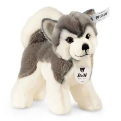 Enfant Steiff Mini Peluches | Animaux Populaires*Husky Bernie, 17 cm, blanc