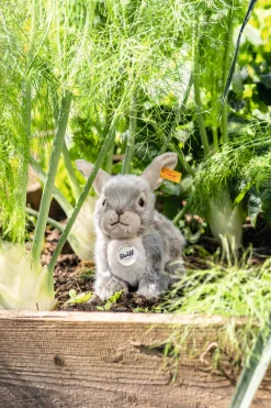 Enfant Steiff Animaux Populaires | Peluches Pour Enfants*Lapin Dormili, 21 cm, gris clair
